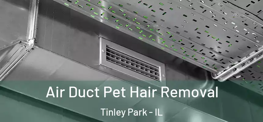  Air Duct Pet Hair Removal Tinley Park - IL