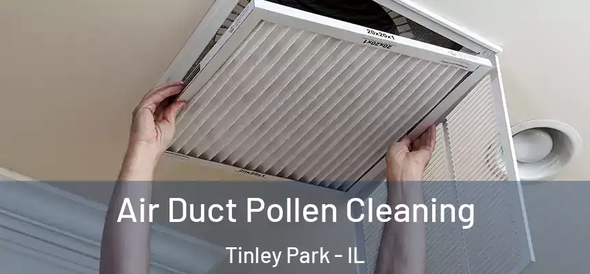 Air Duct Pollen Cleaning Tinley Park - IL