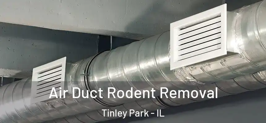  Air Duct Rodent Removal Tinley Park - IL