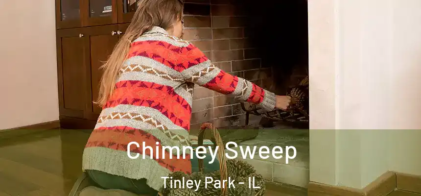  Chimney Sweep Tinley Park - IL