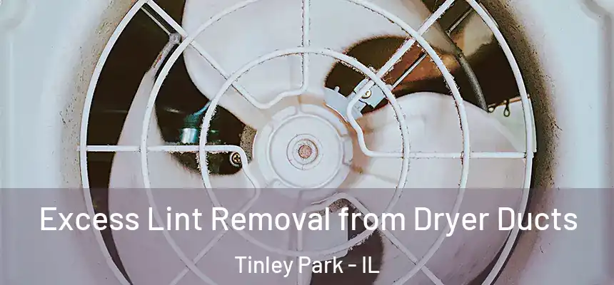 Excess Lint Removal from Dryer Ducts Tinley Park - IL