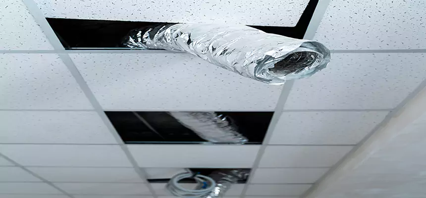 Affordable HVAC Sanitizing After Pest Removal in Tinley Park