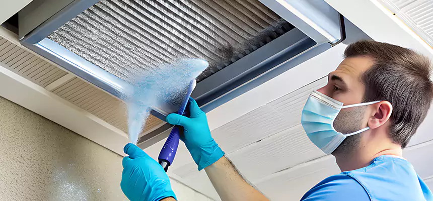 Proactive Dryer Vent & Auxiliary Duct Pollen Cleanup in Tinley Park, IL