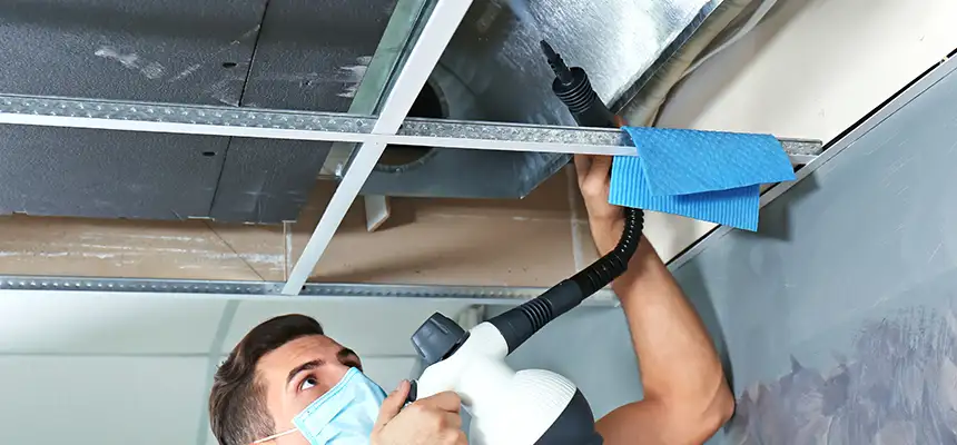 Our Air Duct Rodent Removal Services in Tinley Park, IL