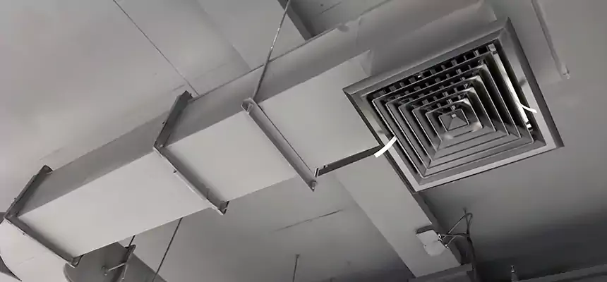 Restorative Allergy Relief Vent Cleaning – Coil, Blower & Housing Detail in Tinley Park