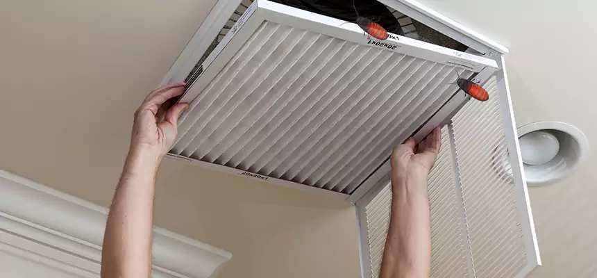 Our Insect Removal from Air Ducts Services in Tinley Park, IL