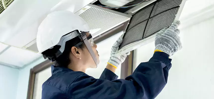 Our Mold & Mildew Removal from Air Ducts Services in Tinley Park, IL