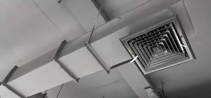 Our Rodent Droppings In Vents Services in Tinley Park, IL