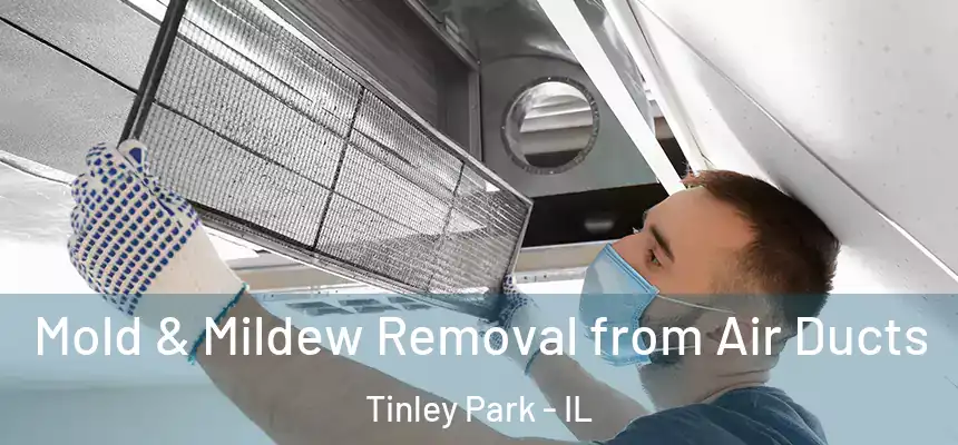  Mold & Mildew Removal from Air Ducts Tinley Park - IL