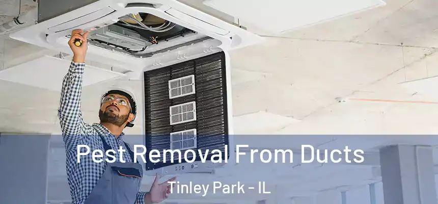 Pest Removal From Ducts Tinley Park - IL