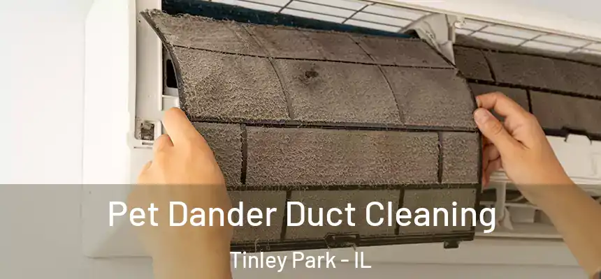 Pet Dander Duct Cleaning Tinley Park - IL