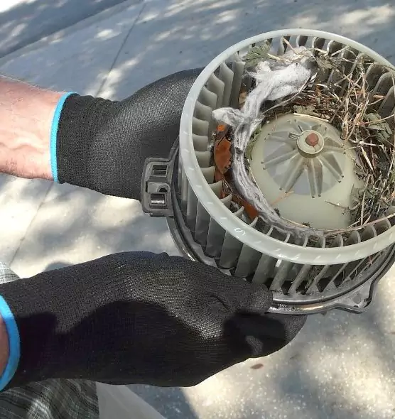 About Air Duct Mice Removal in Tinley Park, IL