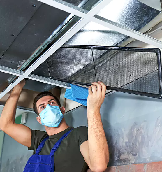 Professional Air Duct Pollen Cleaning in Tinley Park, IL