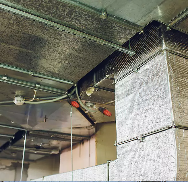 Why Homeowners & Businesses Trust Us in Tinley Park, IL?